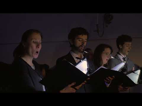 Alma redemptoris mater a 8 - T.L. de Victoria | Kamerkoor NEXT o.l.v. Fokko Oldenhuis