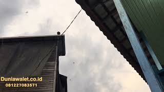 Download lagu GW02   PRONIGHT   INAP TOP mp3 Download lagu GW02   PRONIGHT   INAP TOP mp3