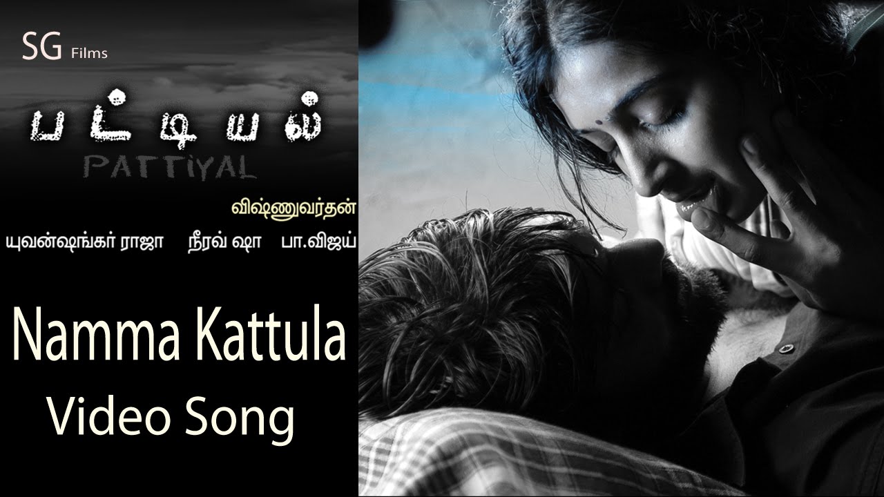 Namma Kattula Mazhai Peiyuthu Song Lyrics | Pattiyal | Ilayaraja, Roshini