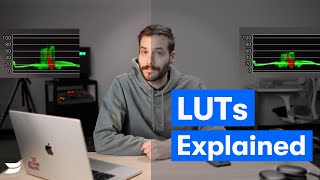 What is a LUT: Learn How To Take Your Videos to the Next Level
