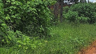 MADRUGADA CHUVOSA 05/2/26