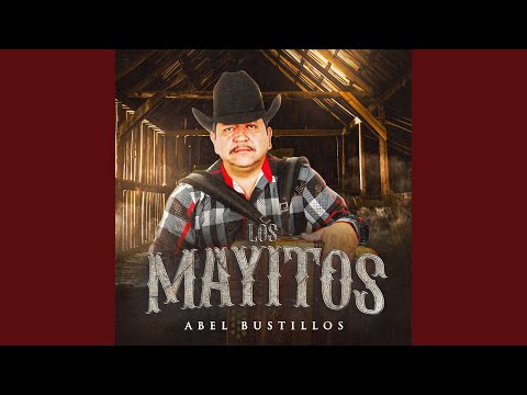 El Ayudante (En Vivo)