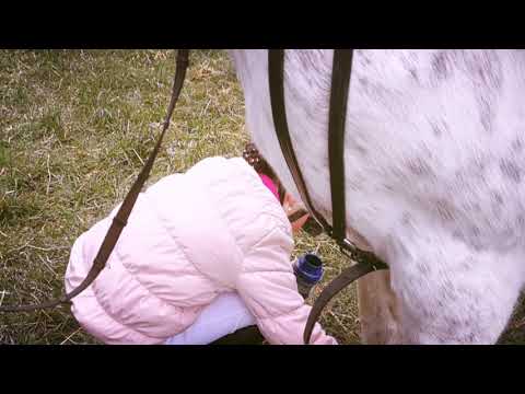 Saisonstart Tag der Jugend 2018 - Die Fuhrhalterei