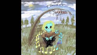 Cover art for parachute