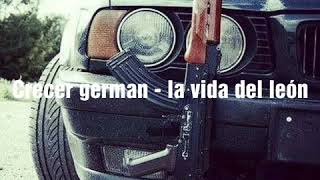 Crecer germán - la vida del león