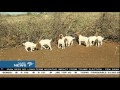 AFASA Members In The Northern Cape Have Left The Farming Industry