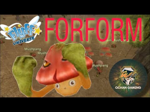 FORFORM in FLYFF UNIVERSE