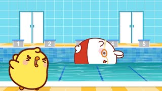Download lagu Molang's Swimming Adventure with Piu Piu 🏊♂️ mp3 Download lagu Molang's Swimming Adventure with Piu Piu 🏊♂️ mp3