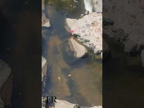 Río Comalapa. San Luis Talpa. La Paz Oeste. El Salvador C.A. 🇸🇻.  #riocomalapa  #engelramos