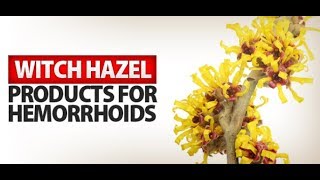 Witch Hazel for Hemorrhoids