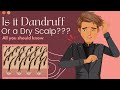 Is It Dandruff Or A Dry Scalp Here S What You Need To Know