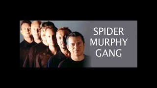 Spider Murphy Gang - Schwierigkeiten