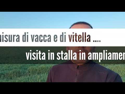 Tutti i legamenti e articolazioni cause Benda sul ginocchio b.well congiunta