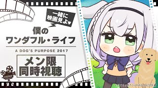 白銀ノエル - 【メン限／同時視聴】「僕のワンダフル・ライフ」同時視聴！絶対にボロ泣きする未来しか見えない...果たして🐶？！【白銀ノエル/ホロライブ】