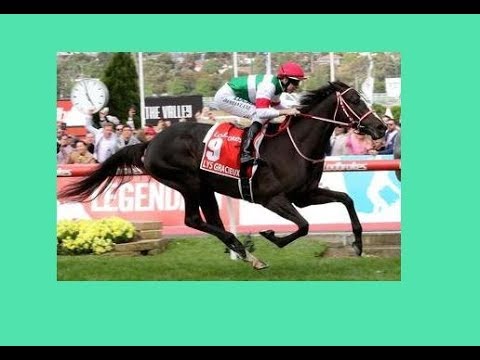 2019 ABC TV News _ W S Cox Plate