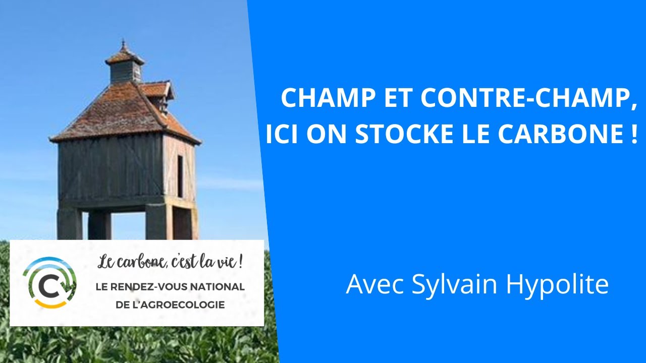 Champ et contre-champ, ici on stocke le carbone !, Sylvain Hypolite