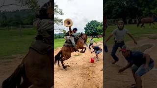 Que atropelo foi esse 🐴💨