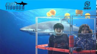 DIA 2 Expo Tiburon126