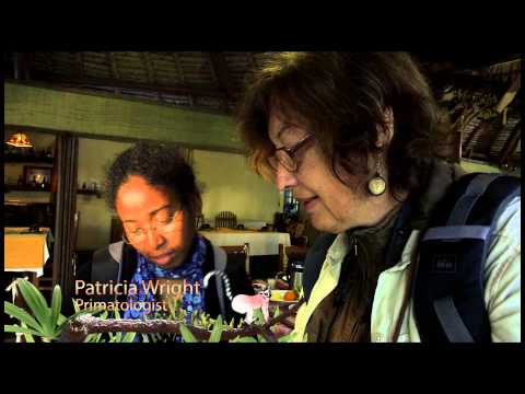 Island of Lemurs: Madagascar -- A Baby Indri -- Featurette -- Regal Cinemas [HD]