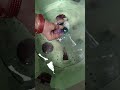 Surf Excel Matic How To Use Shorts Surfexcel 4k Clothing