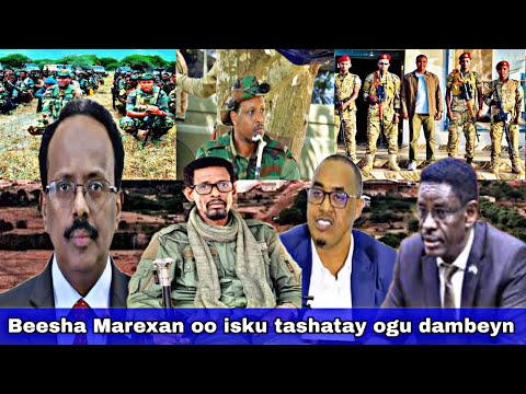 Farmajo oo kuso wajahan Gobolka Gedo Beesha Mareexan oo isku tashi sameyneysa iyo isbadal dhacay.