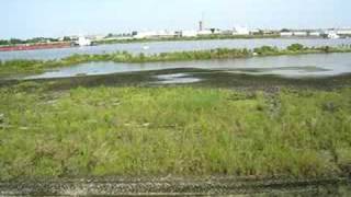 preview picture of video 'From Atop the Industrial Canal Levee in the Lower Ninth Ward'