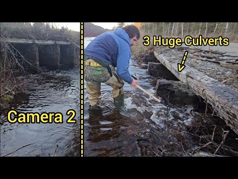 Unclogging 3 Huge Timber Culverts