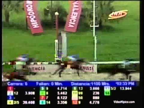 Resumen Jueves, 14 de Noviembre de 2013 - Valencia