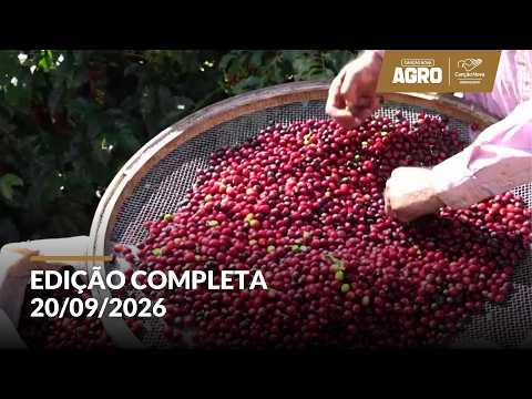 Cafeicultores de Lambari unem trabalho, dedicação e fé na produção