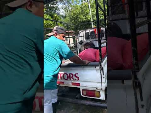 Conociendo Un Bonito Lugar De El carmen La Unión Sur Barrio El  Chile📍📸