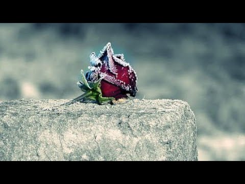 Ziso ft. Indriti (M.B.R) - Lule Mbi Varr