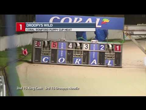 2018 ROMFORD PUPPY CUP - HEAT 3 - T1 DROOPYS WILD