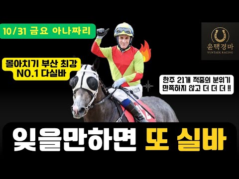 10/31 금요-윤택-경마 아나짜리 다실바 몰아치기 오랜만에 ?!