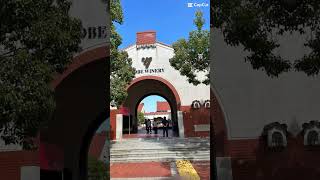 神戸ワイナリー　#shorts #short  #shortvideo