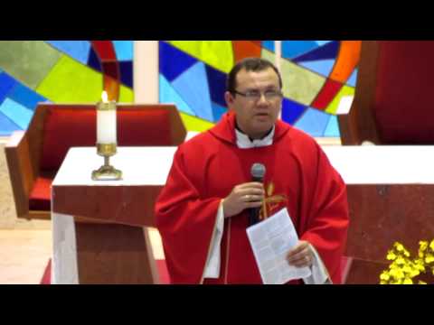 Homilia Pe. Lécio Santos - Dia do Papa - 28/06/15 - Paróquia Imac. Coração de Maria