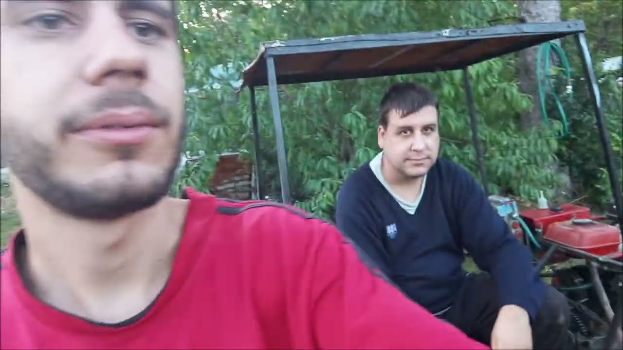 Kukorica szedés lazítás