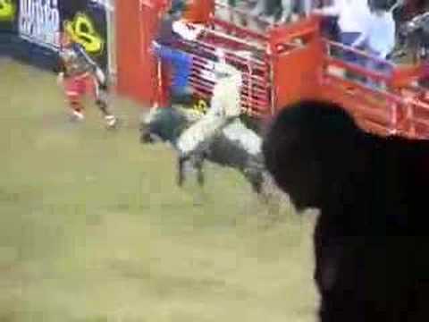 Bull Riding