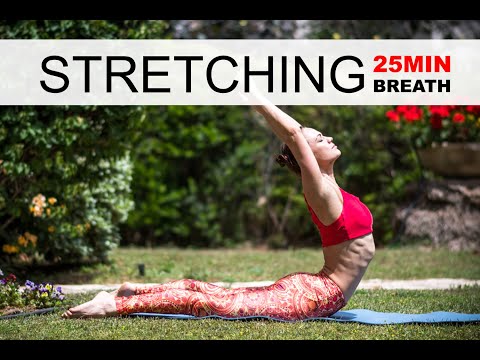Flexibility | 25 Minute Practice | Stretching with Alisa Pleskova