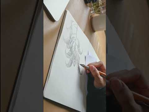 Weekly Flower Sketch #1