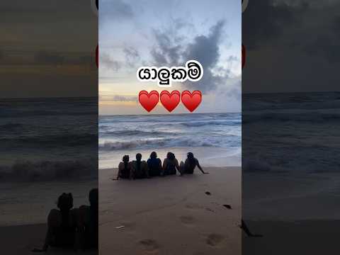 Ocean Therapy 😌🌊 #srilanka #ocean #beach #friends #girlfriends #relaxing #therapy #sunset #travel