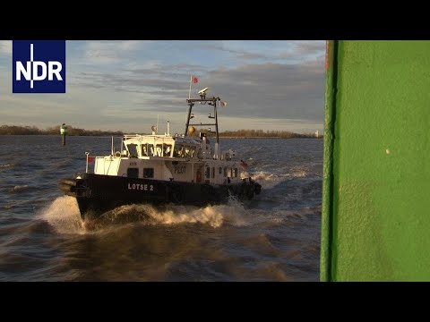 Ausbildung der Elblotsen: Gefragt und gefordert | DIE REPORTAGE | NDR Doku