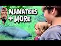 Blue Spring State Park More Than Just Manatees