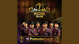 El Próximo Tonto / La Mejor de Todas / Ay Amigo