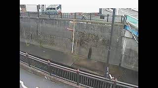 池上映像監視局