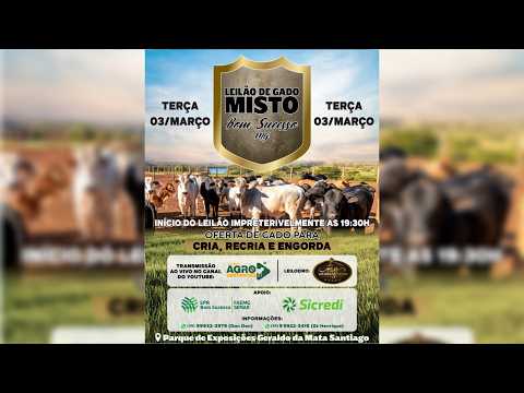 LEILÃO MISTO SINDICATO RURAL DE BOM SUCESSO E IBITURUNA/MG - 03/03/2025