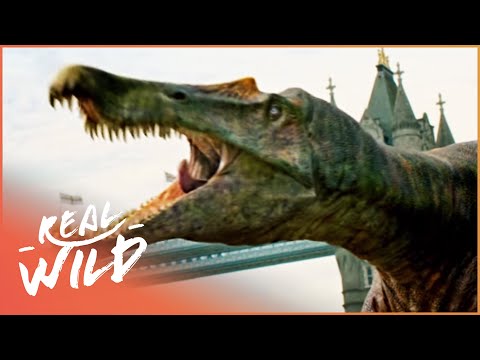 Dinosaur Britain - Episode 1 Of 2 [Natural History Documentary] - Wild Things