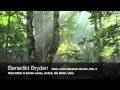 Benedikt Brydern - Tales of the Bavarian Woods, Mvt 2