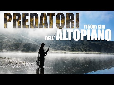 TOP WATER PIKE FISHING at 1150m ALTITUDE in a SPINNING FISHING PARADISE!!