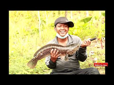 Beach fishing tips for beginners ,ta sal kampong spue -The Totally Awesome Fishing Show