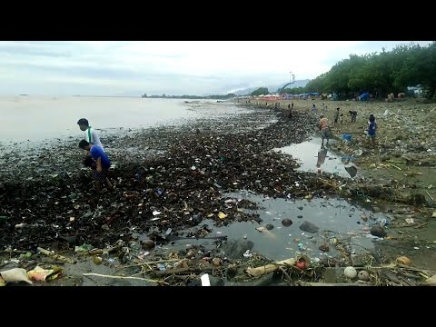 Plastikmüll-Welle überschwemmt Küste | DER SPIEGEL
